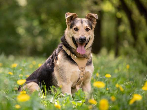Барри ищет своего человека!