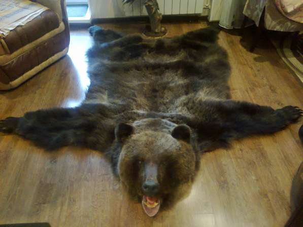 Ковер медведя в Омске фото 3