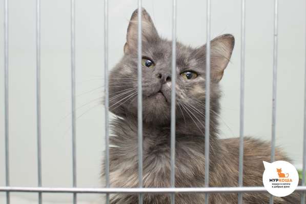 Холли хочет сделать вас счастливее в Москве