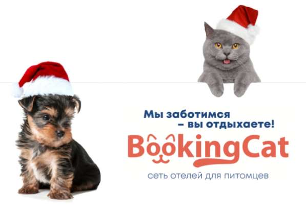 Требуется грумер! в фото 3