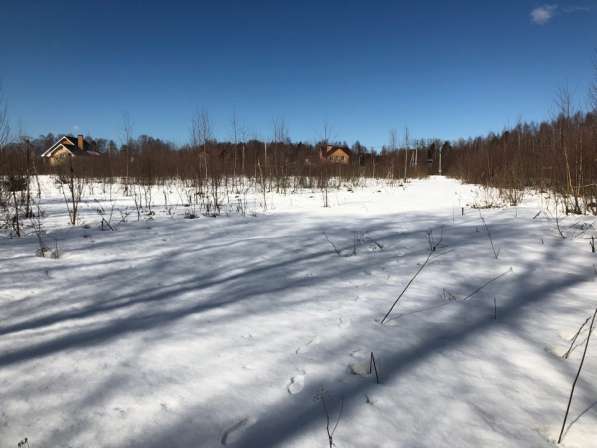 80 соток на берегу Можайского водохранилища в Можайске фото 17