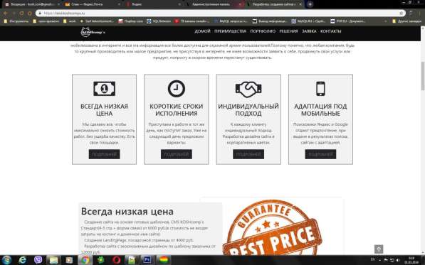 Разработка, создание сайтов в Челябинске фото 15