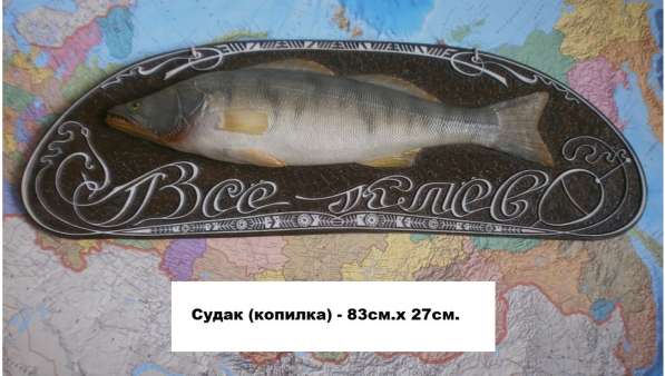 Муляжи рыб в Новосибирске фото 8