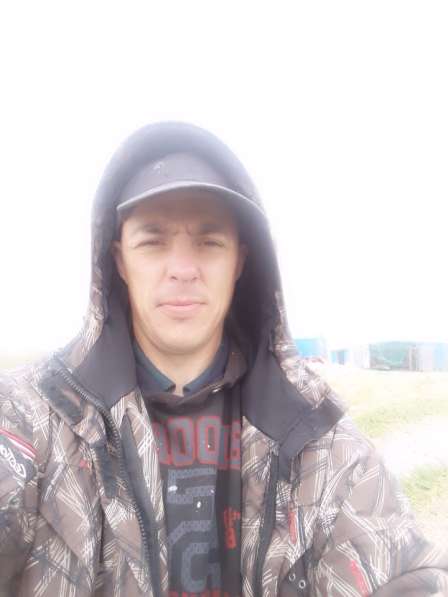 Александр, 37 лет, хочет пообщаться в Барнауле фото 3