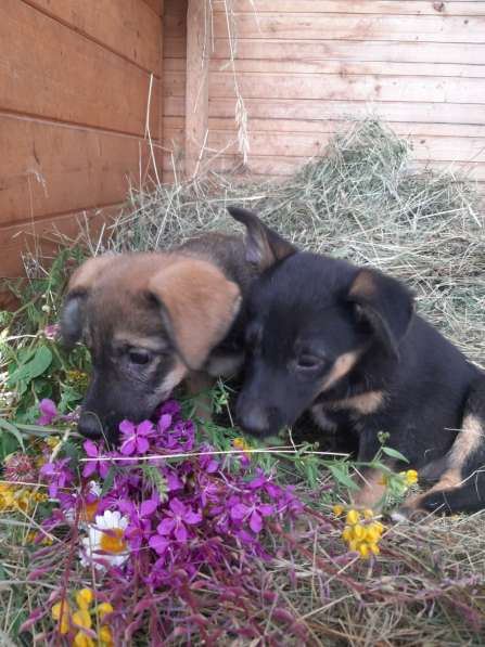 Кто искал счастье? Вы его нашли в Москве фото 3