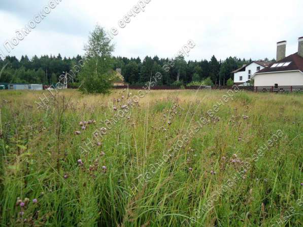 realty_mapper3.plot_in_locationСадовое некоммерческое тов-во. Площадь 15.00 сот.Есть Газ. в Москве фото 17