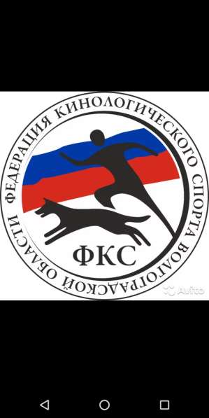 Дрессировка собак