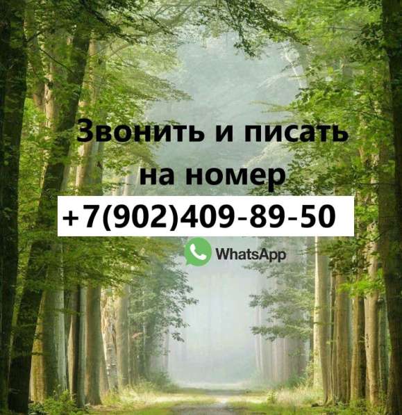 Сдам однокомнатную квартиру в Воскресенке, Менделеева 3 в Воскресенске фото 3