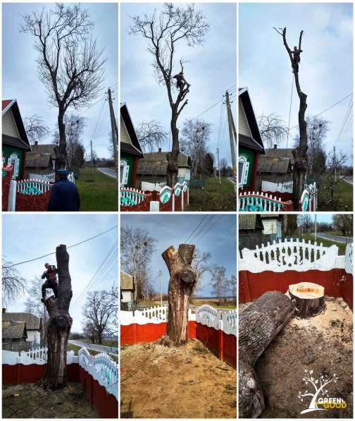 Поможем безопасно спилить аварийное дерево в фото 8