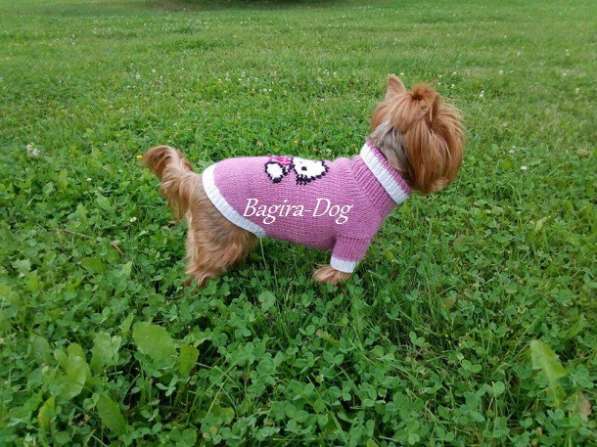 Свитера для собак ручной работы в Москве фото 59