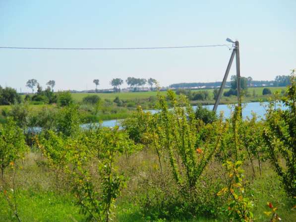 Продам дом с видом на озеро в а. г. Заямное 67 км. от Минска в фото 14