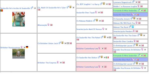 Породистые мальчики английского бульдога в Пензе фото 4