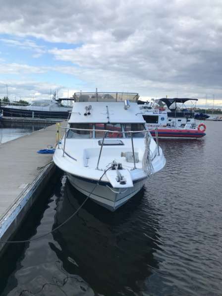 Катера и яхты