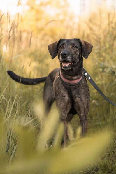 Люся ищет свою вселенную! в Москве фото 8