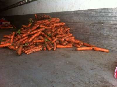 Продам морковь хорошего качества и товар