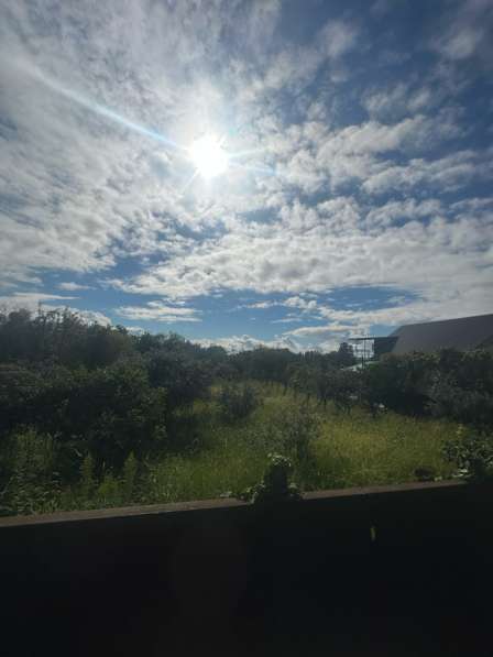 Нижняя эшера