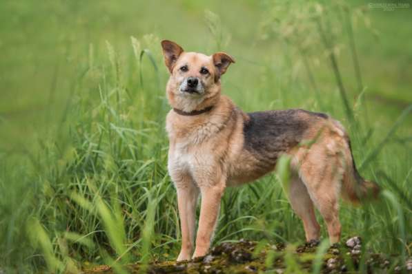 Харизматичный Марк ищет дом в Москве фото 27