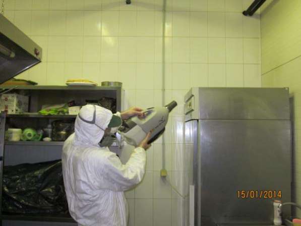 Санобработка от насекомых, грызунов, дезинфекция в Тольятти фото 5