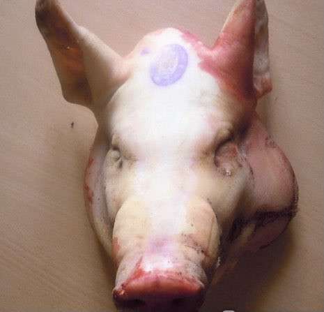 Мясо свинина говядина баранина курятина розница опт