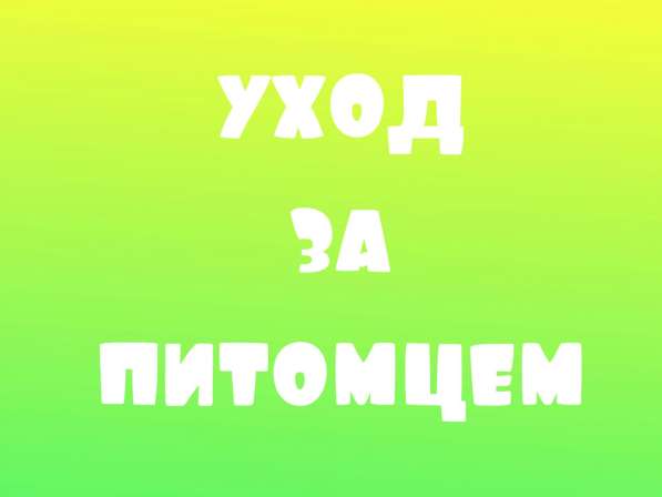 Магазин зоотоваров в Печоре фото 10