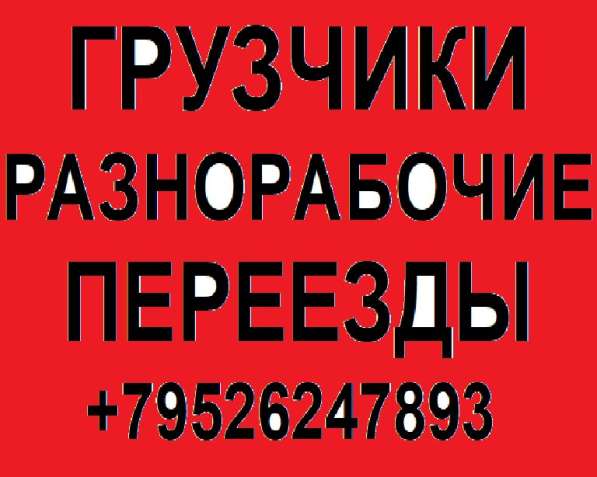 Грузчики, переезды, разнорабочие в Иркутске фото 7