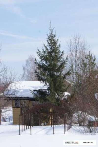 Продам участок в СНТ в Москве фото 5