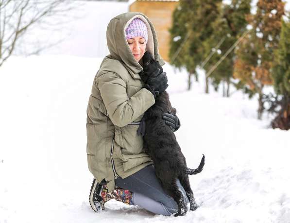 Очаровательные 4 мес щенки Филя и Феня в добрые руки! в Москве фото 6