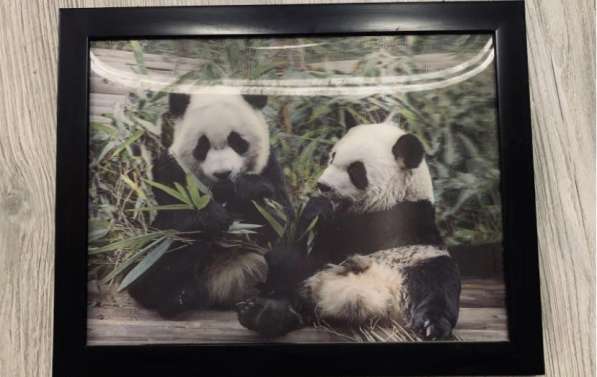 Картина 3D панды