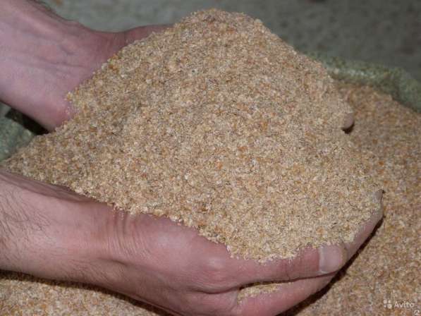 Отруби пшеничные пушистые и в гранулах в 