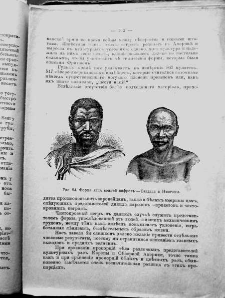 Раритет. Ранке Физические различия человеческих рас 1902 год в Москве фото 8