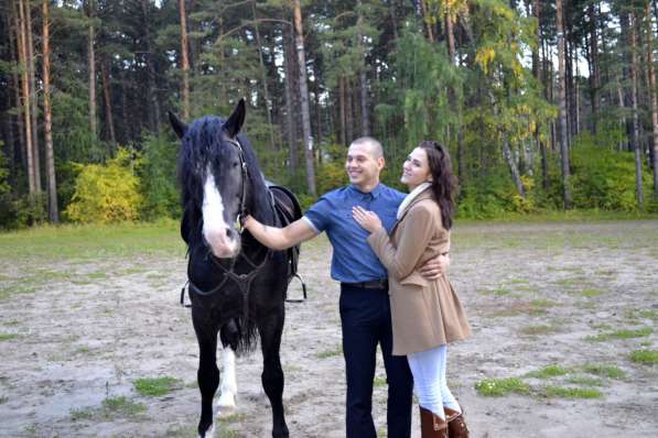 Катание на лошадях, романтика Красноярск в Красноярске фото 10