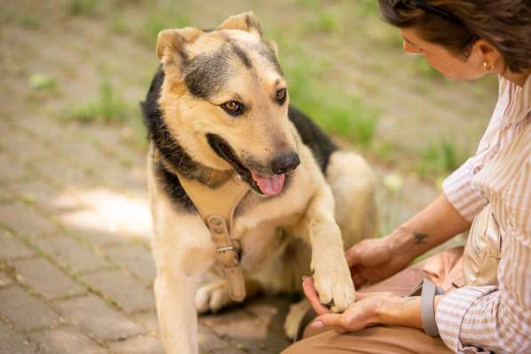 Барри ищет своего человека! в Москве фото 7