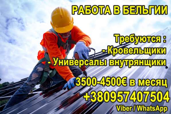 Бельгия. Кровeльщики и унивeрсалы на внутрeнниe работы