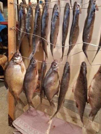 Продам свеже-вяленную рыбу в фото 4