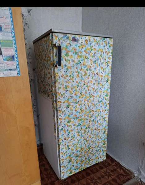 Холодильник «Полюс-10» типа КШ-260