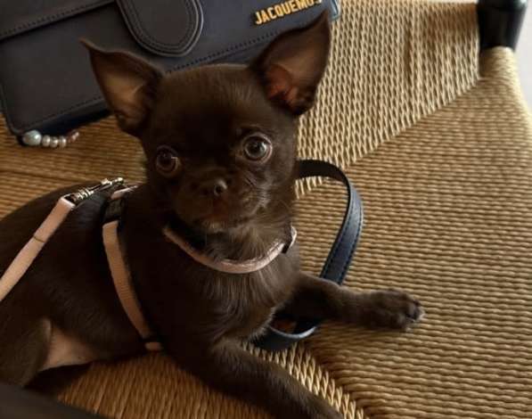 Малышка тип Кобби в фото 3