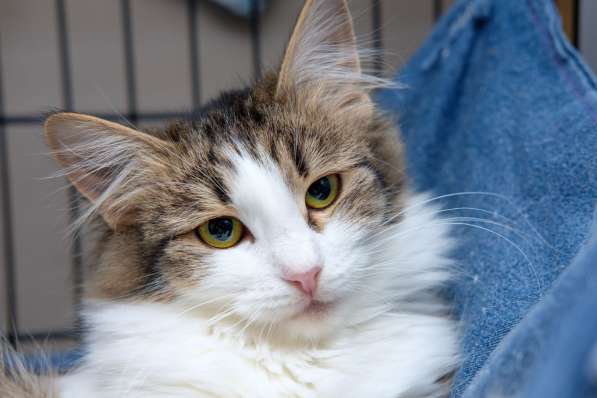 Жизнерадостная Ариэль спешит навстречу друзьям в Москве