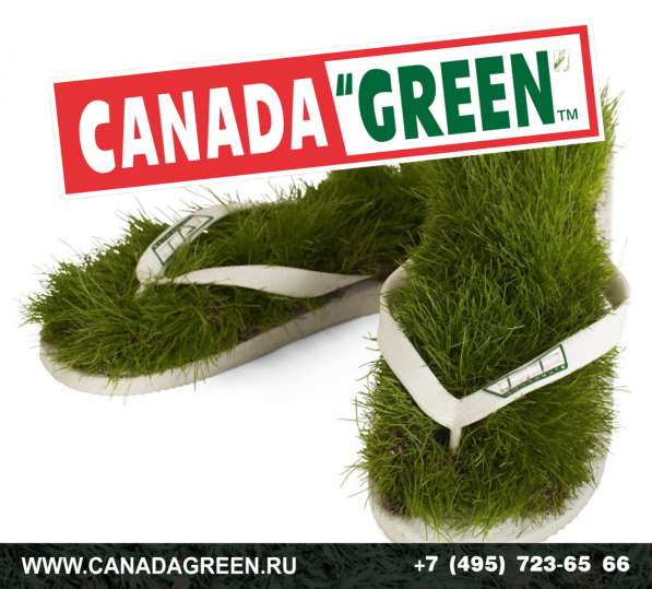 Газонные травосмеси канадагрин в Москве