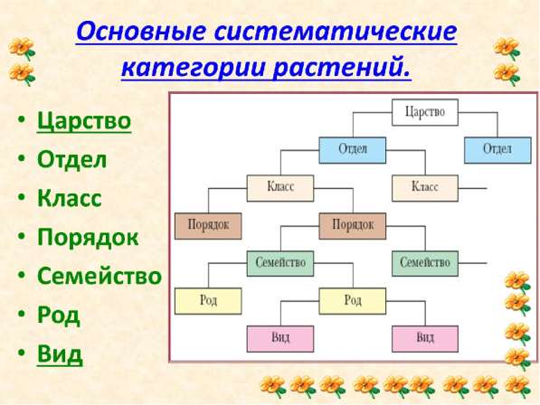 Репетиторство в Анне