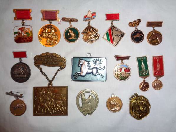 Коллекция значков и медалек кони, лошади в Москве фото 6