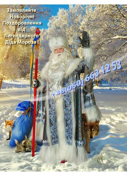 НОВЫЙ ГОД С ДЕДОМ МОРОЗОМ УКРАИНЫ в фото 3