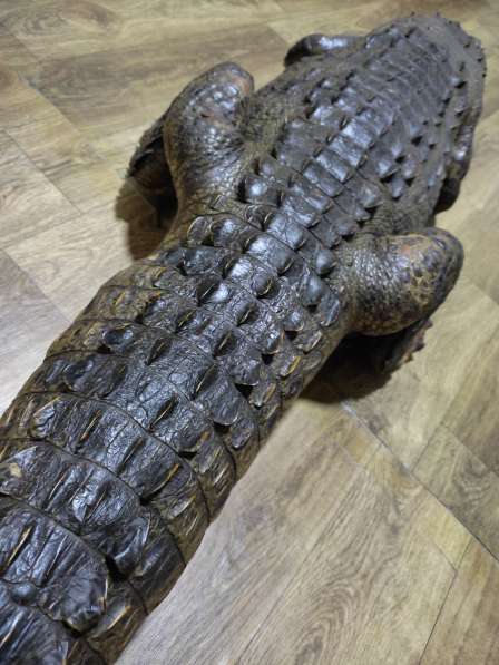 Чучело Крокодила в фото 8