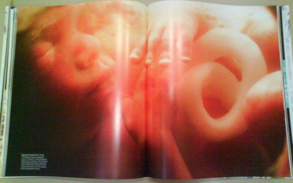 Большая книга о беременности (новая, с доставкой) в Перми фото 8