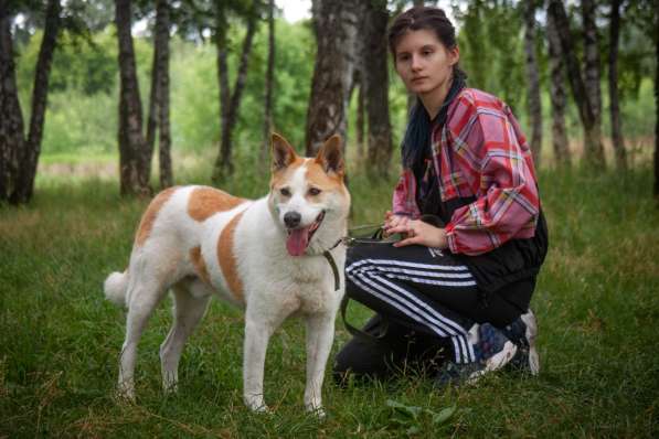 Лучший Друг Макс ищет семью в Москве фото 4