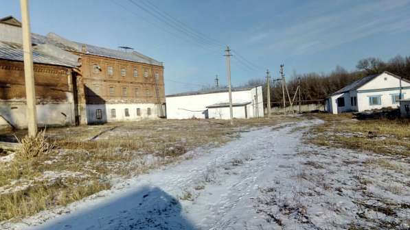 Готовый бизнес - Мукомольный завод продаю в Ульяновске фото 3