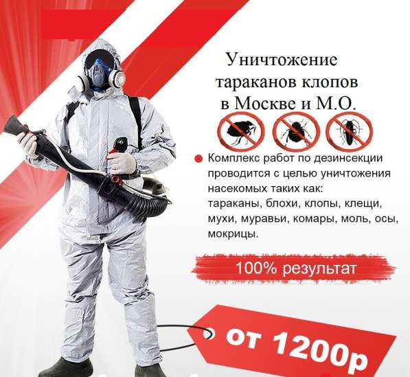 Уничтожение тараканов клопов блох в Мытищи фото 5