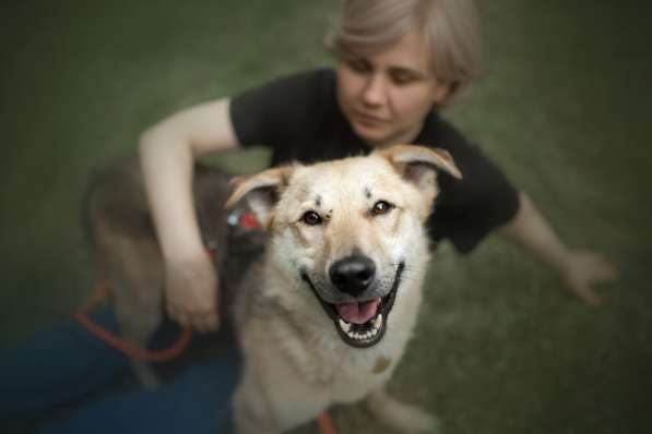 Ищет дом Ромео #ромео_дубоваяроща в Москве фото 35