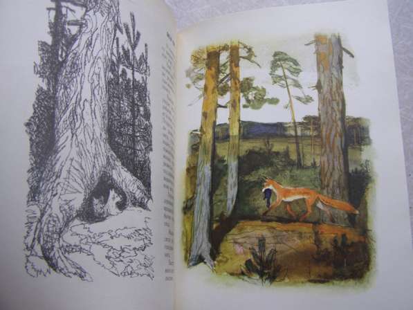 Год в лесу (книга для детей про животных) в Москве