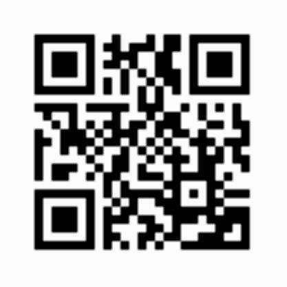 Диспетчерский сервис аренды спецтехники и грузоперевозок в Владивостоке