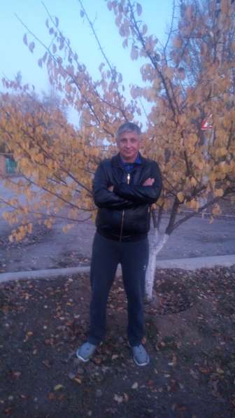 Приму в дар